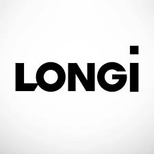 LONGi Solar Panel